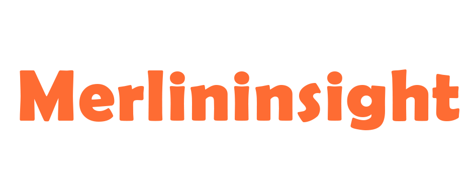 Merlininsight - 科技與創新的交會